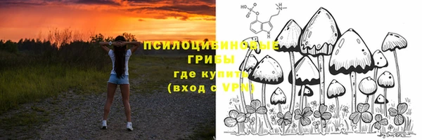 хмурый Михайловка